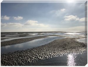 sandbank canvas